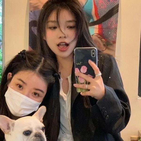 黄金篷车大作战